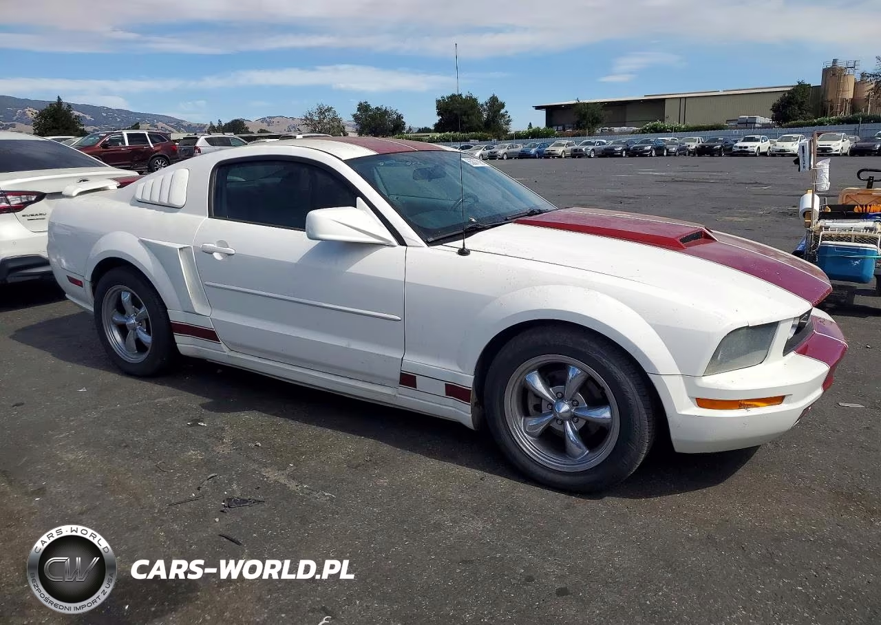 2006 Ford Mustang VIN:1ZVFT80N965159815 - 4