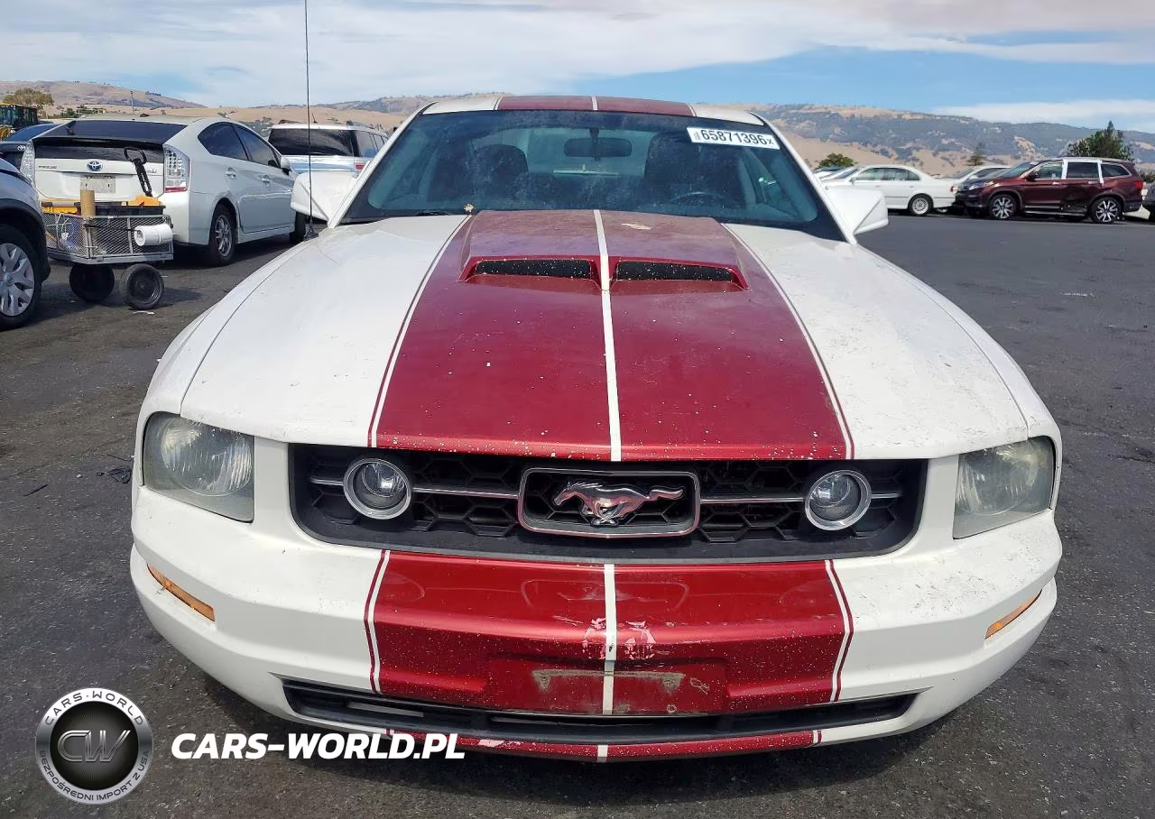 2006 Ford Mustang VIN:1ZVFT80N965159815 - 5