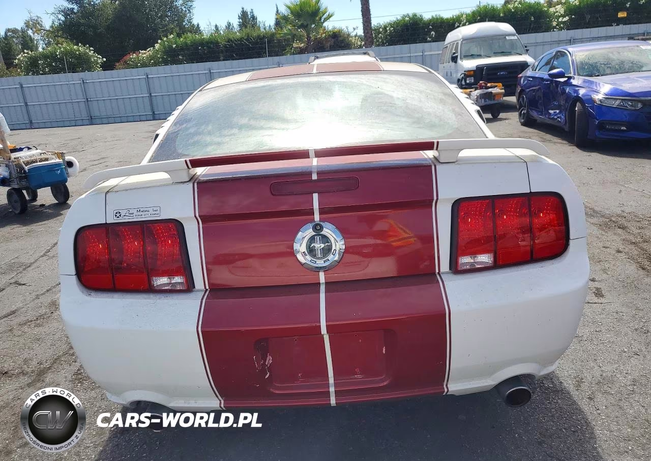 2006 Ford Mustang VIN:1ZVFT80N965159815 - 6
