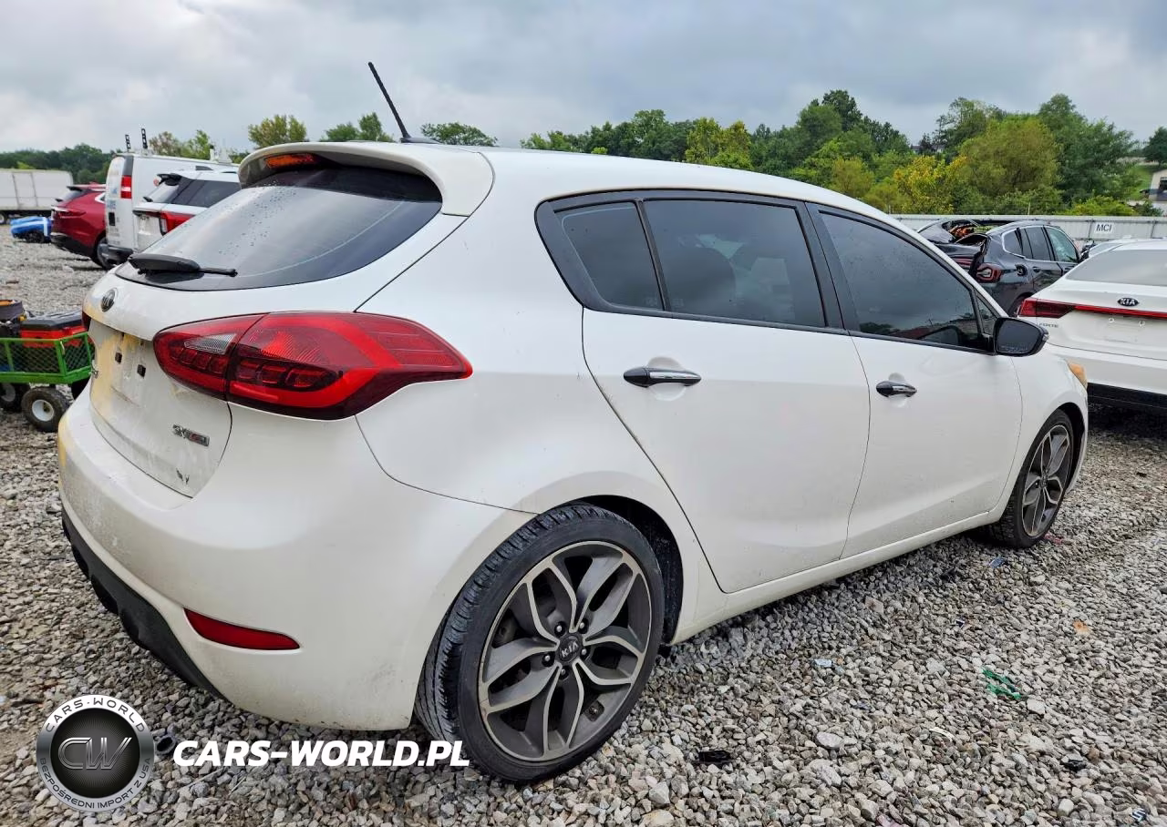 2015 Kia Forte5 Sx VIN:KNAFZ5A36F5269070 - 3