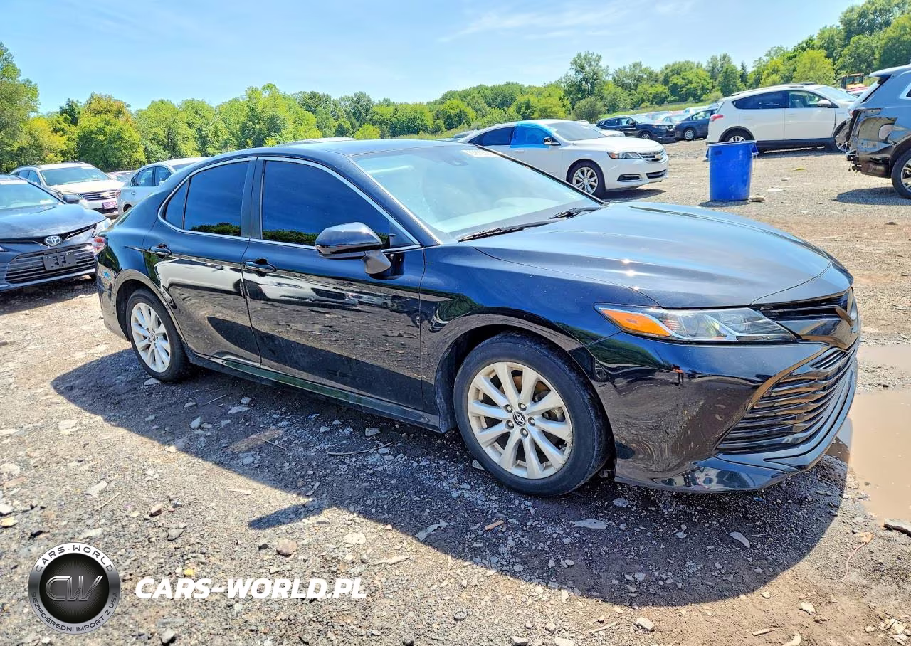 2020 Toyota Camry Le VIN:4T1C11AK4LU341071 - 4