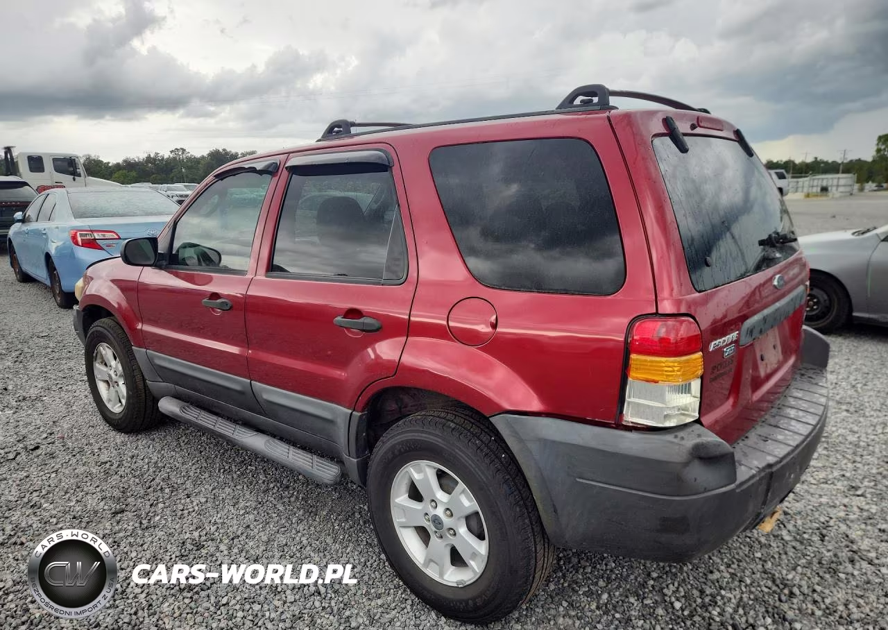 2006 Ford Escape Xlt VIN:1FMYU03196KA98241 - 2