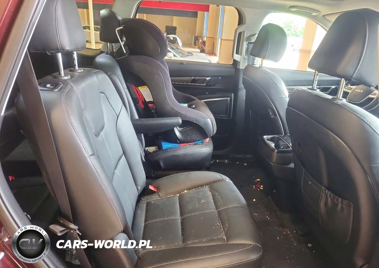 2022 Kia Telluride Sx VIN:5XYP5DHC8NG302904 - 11