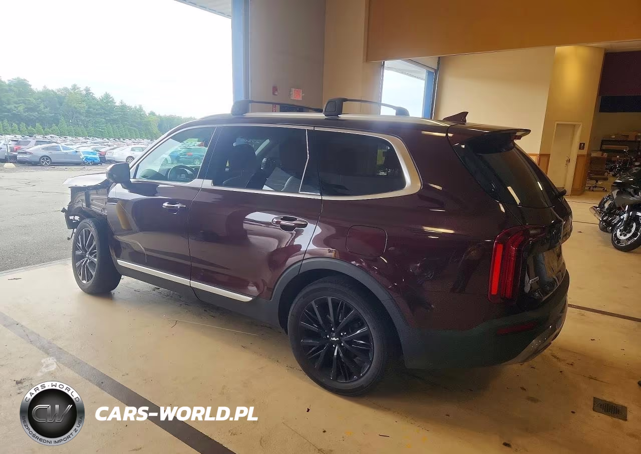 2022 Kia Telluride Sx VIN:5XYP5DHC8NG302904 - 2