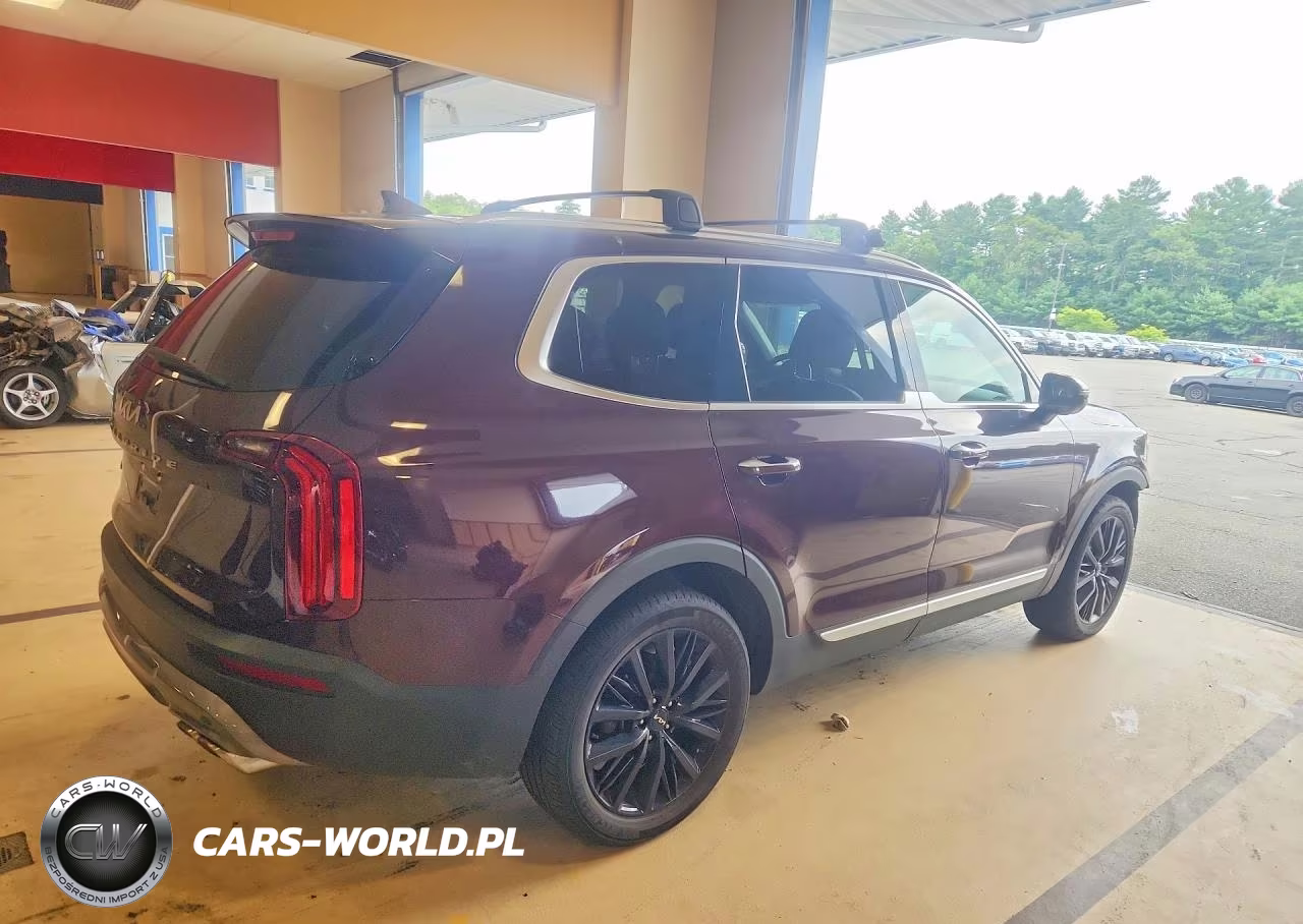 2022 Kia Telluride Sx VIN:5XYP5DHC8NG302904 - 3