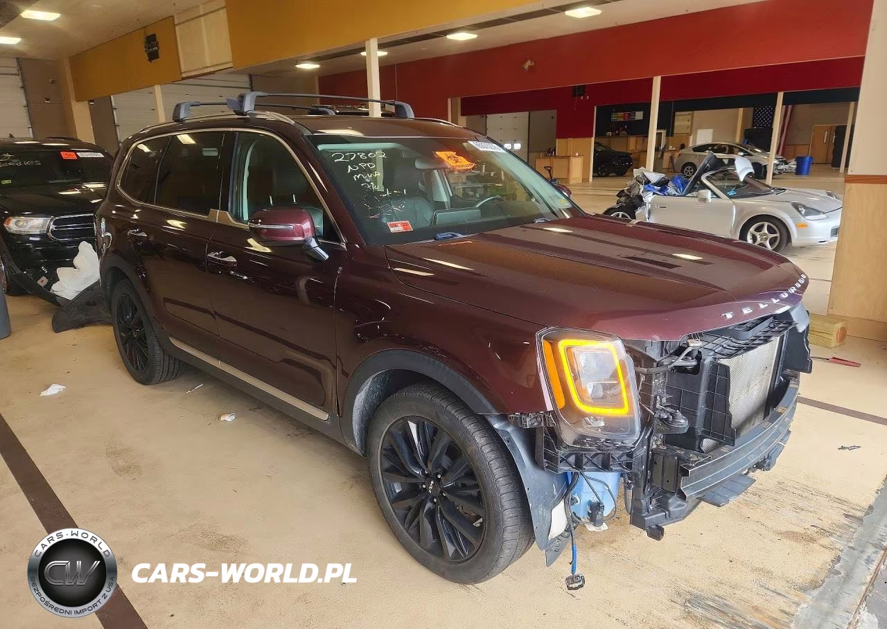 2022 Kia Telluride Sx VIN:5XYP5DHC8NG302904 - 4