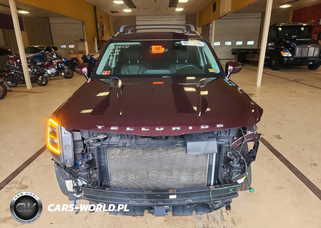 2022 Kia Telluride Sx VIN:5XYP5DHC8NG302904 - 5