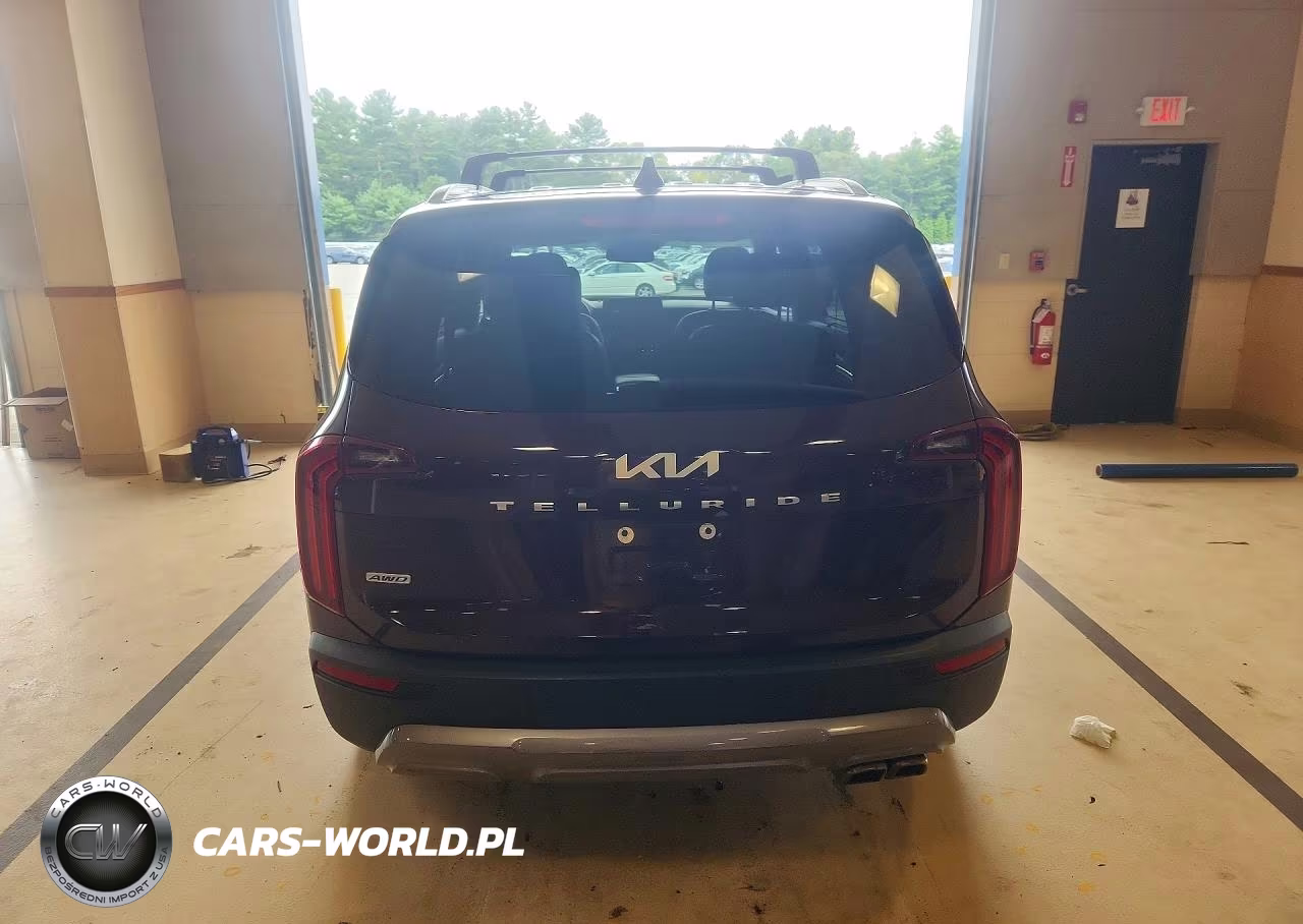 2022 Kia Telluride Sx VIN:5XYP5DHC8NG302904 - 6