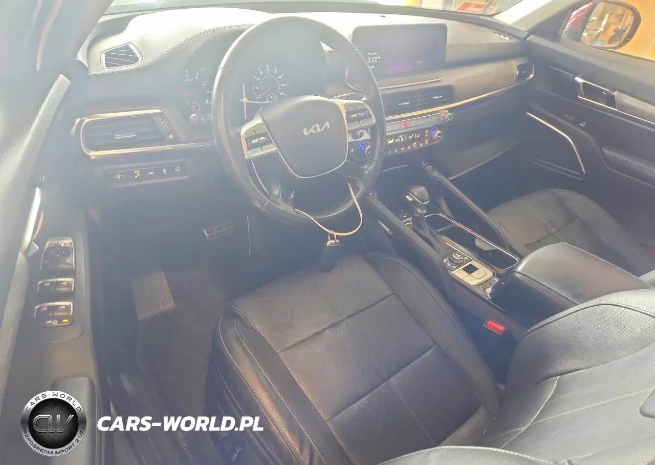 2022 Kia Telluride Sx VIN:5XYP5DHC8NG302904 - 8