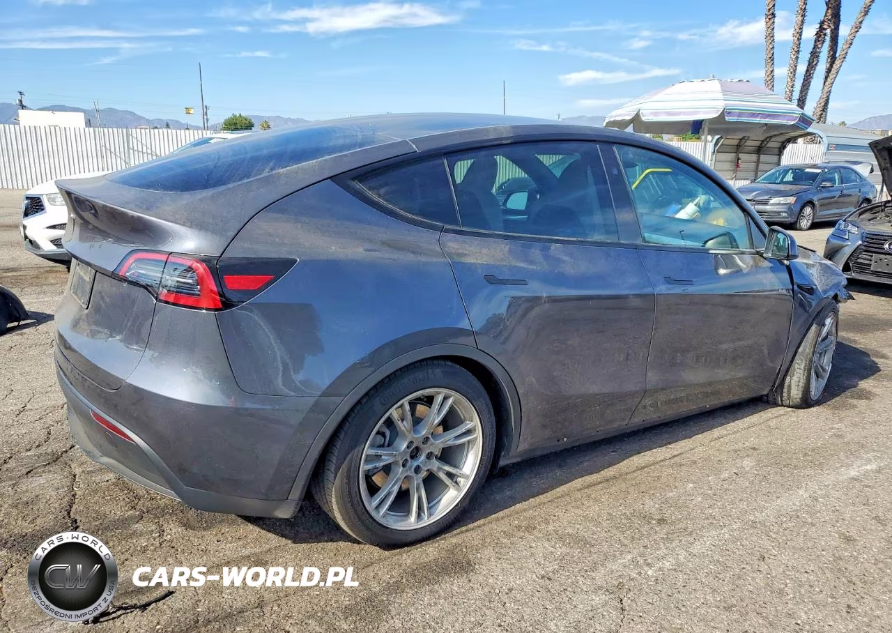 2023 Tesla Model Y VIN:7SAYGDED3PF978413 - 3