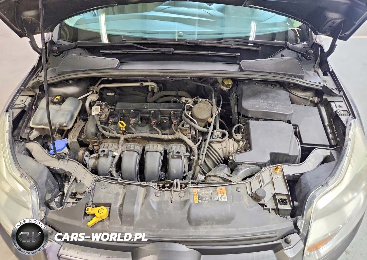 2014 Ford Focus Se VIN:1FADP3F20EL454719 - 11