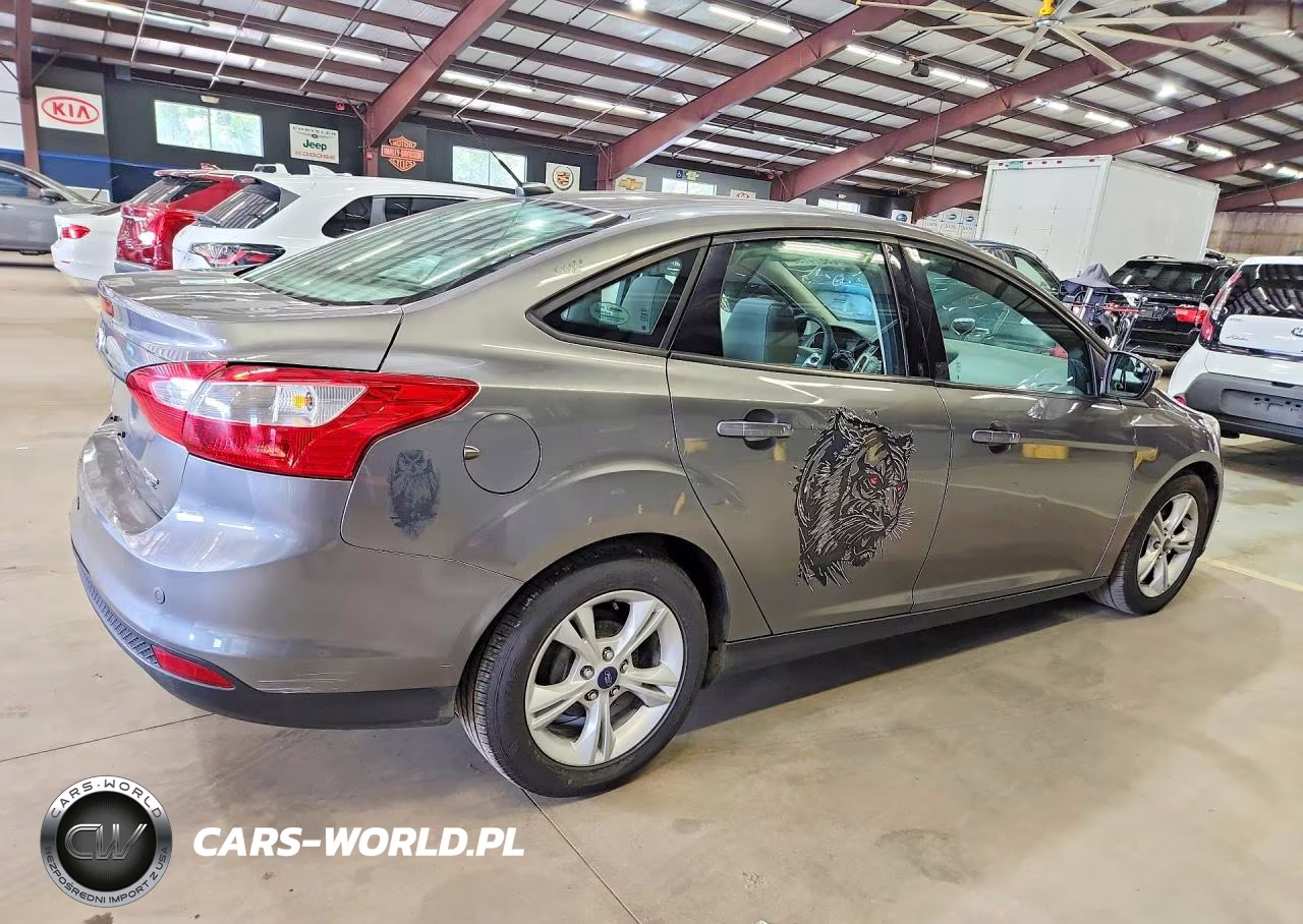 2014 Ford Focus Se VIN:1FADP3F20EL454719 - 3