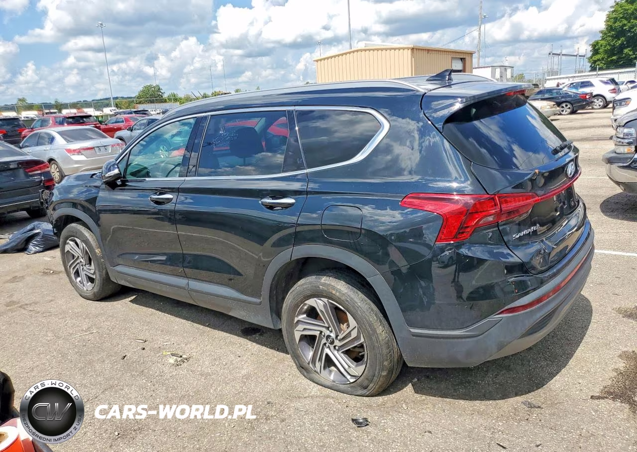 2023 Hyundai Santa Fe Sel VIN:5NMS24AJXPH640762 - 2