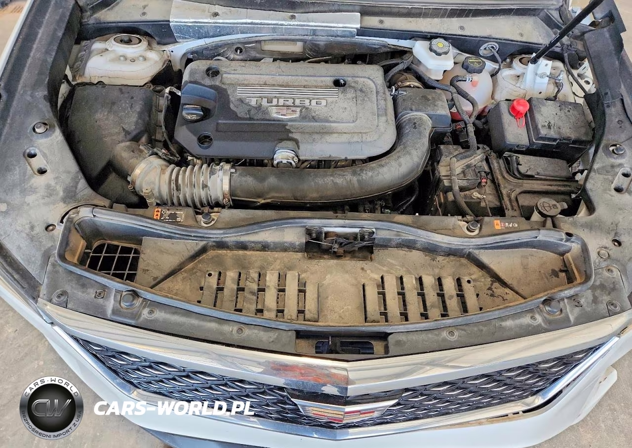 2024 Cadillac Xt4 Premium Luxury VIN:1GYFZDR40RF218294 - 11