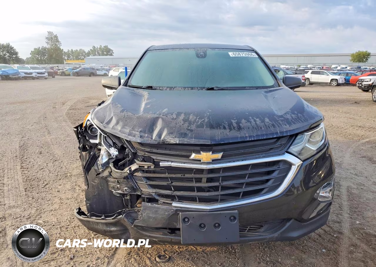2020 Chevrolet Equinox Ls VIN:2GNAXHEVXL6187303 - 5