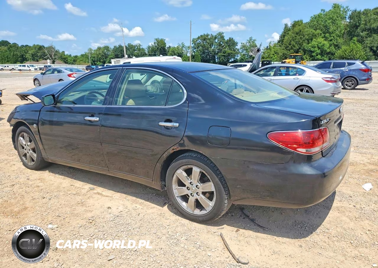 2006 Lexus Es 330 VIN:JTHBA30GX65160448 - 2