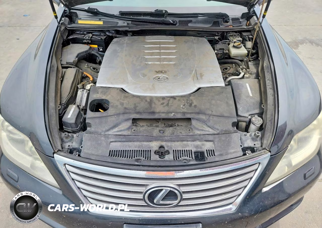2010 Lexus Ls 460 VIN:JTHBL5EF6A5099128 - 11