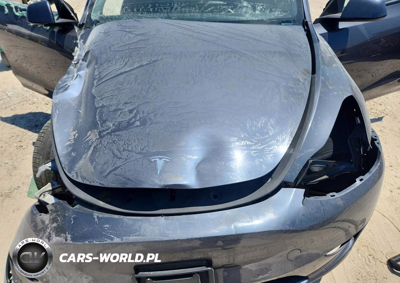 2023 Tesla Model Y VIN:7SAYGDEF7PF874976 - 11