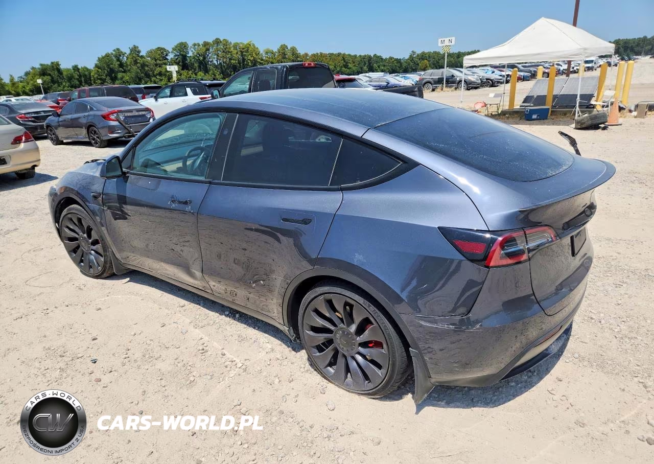 2023 Tesla Model Y VIN:7SAYGDEF7PF874976 - 2