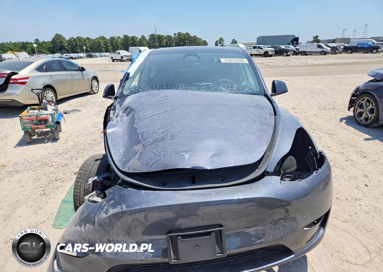 2023 Tesla Model Y VIN:7SAYGDEF7PF874976 - 5
