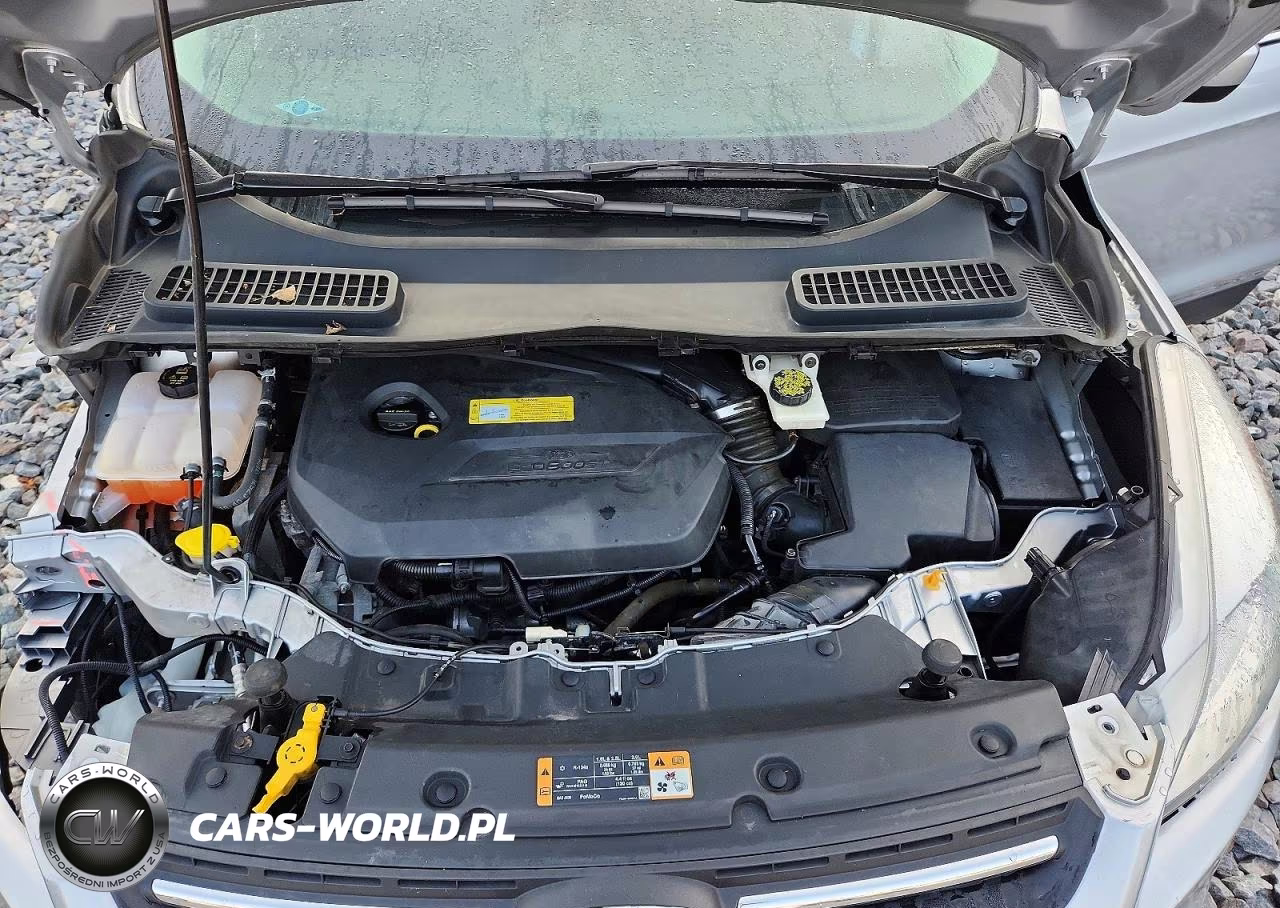 2014 Ford Escape Se VIN:1FMCU9GX8EUB02036 - 11