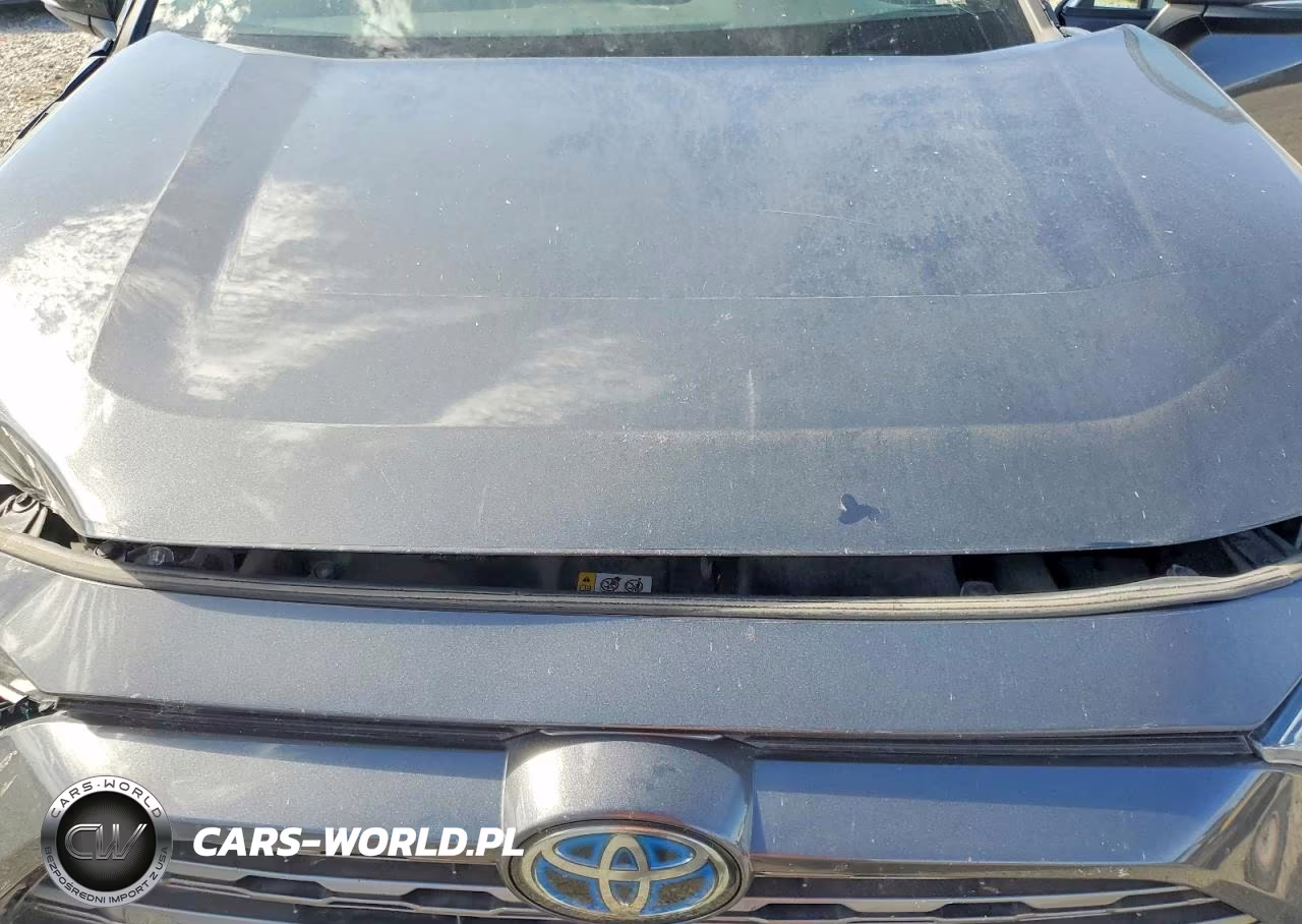 2020 Toyota Rav4 Xse VIN:2T3EWRFV0LW074188 - 11