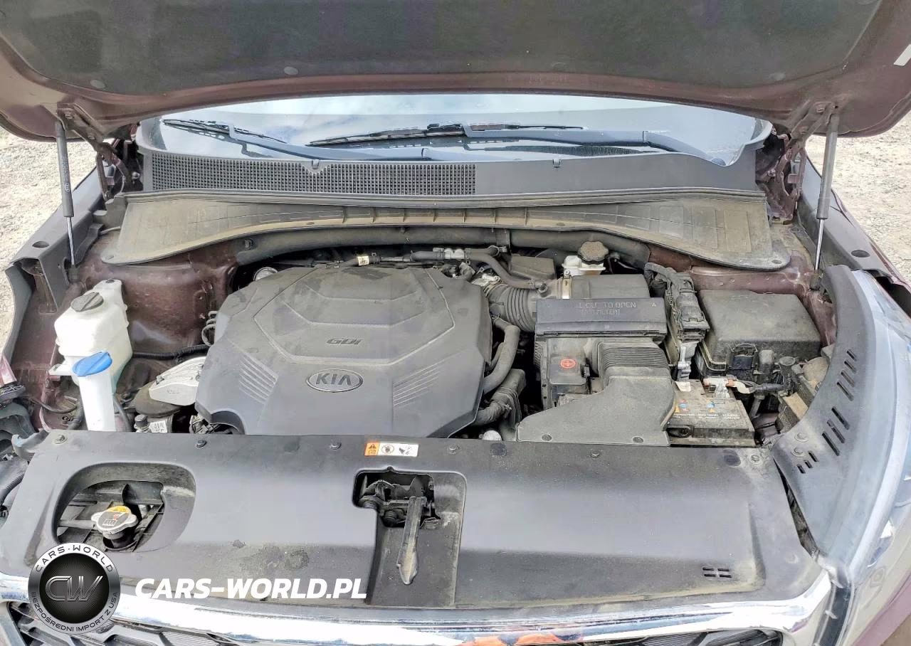 2019 Kia Sorento Ex V6 VIN:5XYPHDA5XKG478769 - 12