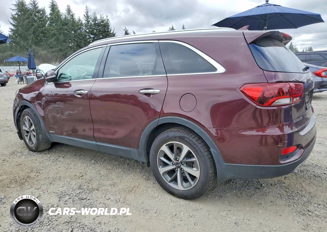 2019 Kia Sorento Ex V6 VIN:5XYPHDA5XKG478769 - 2