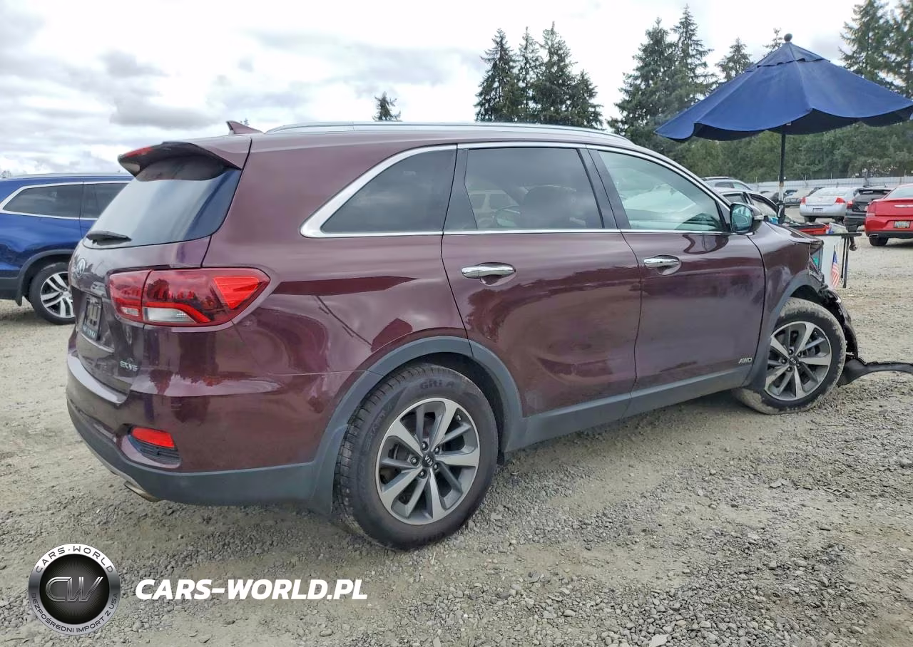 2019 Kia Sorento Ex V6 VIN:5XYPHDA5XKG478769 - 3