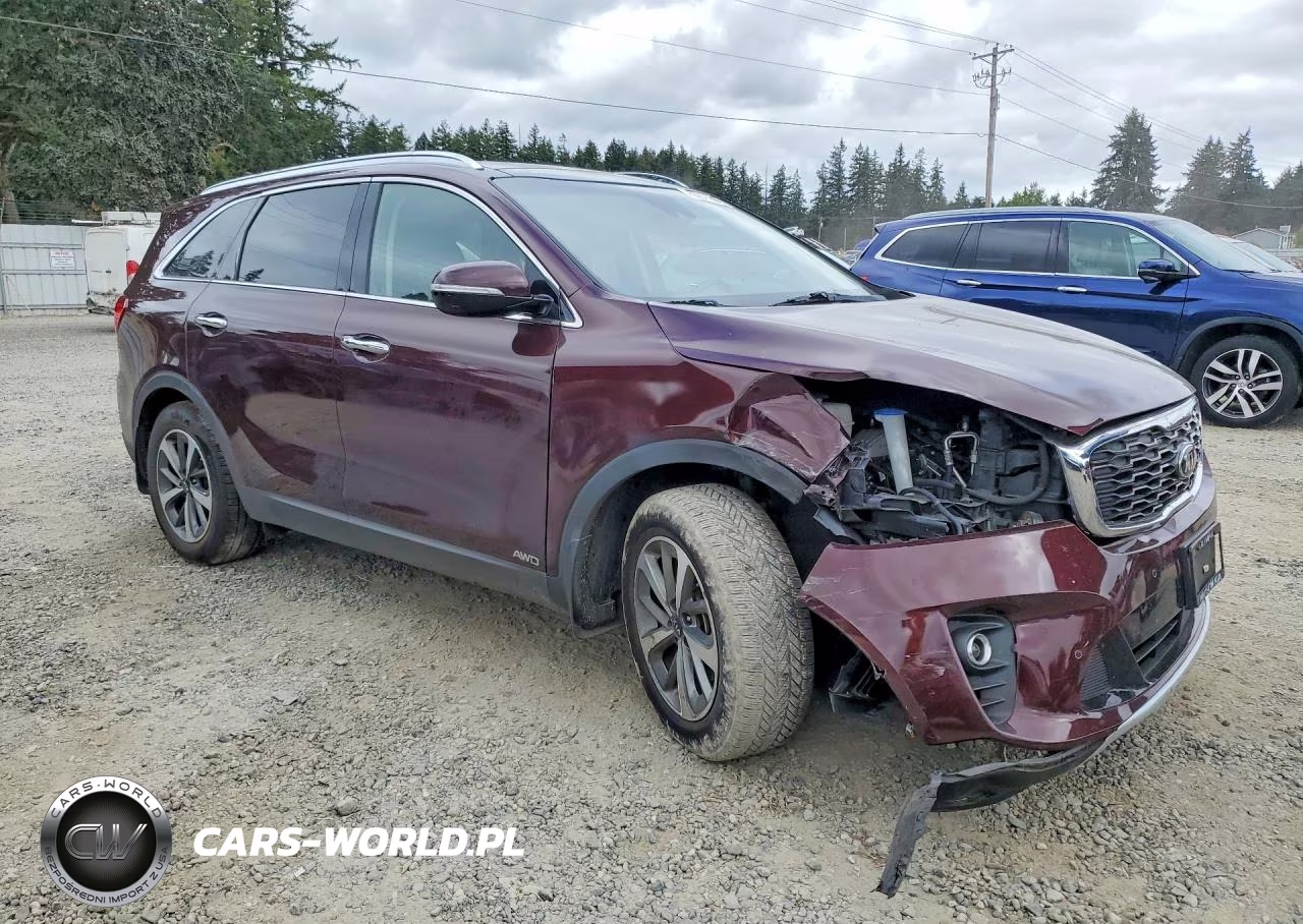 2019 Kia Sorento Ex V6 VIN:5XYPHDA5XKG478769 - 4