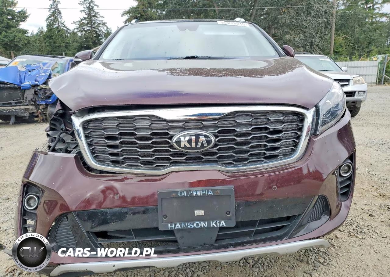 2019 Kia Sorento Ex V6 VIN:5XYPHDA5XKG478769 - 5