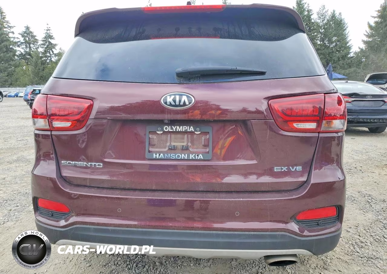 2019 Kia Sorento Ex V6 VIN:5XYPHDA5XKG478769 - 6