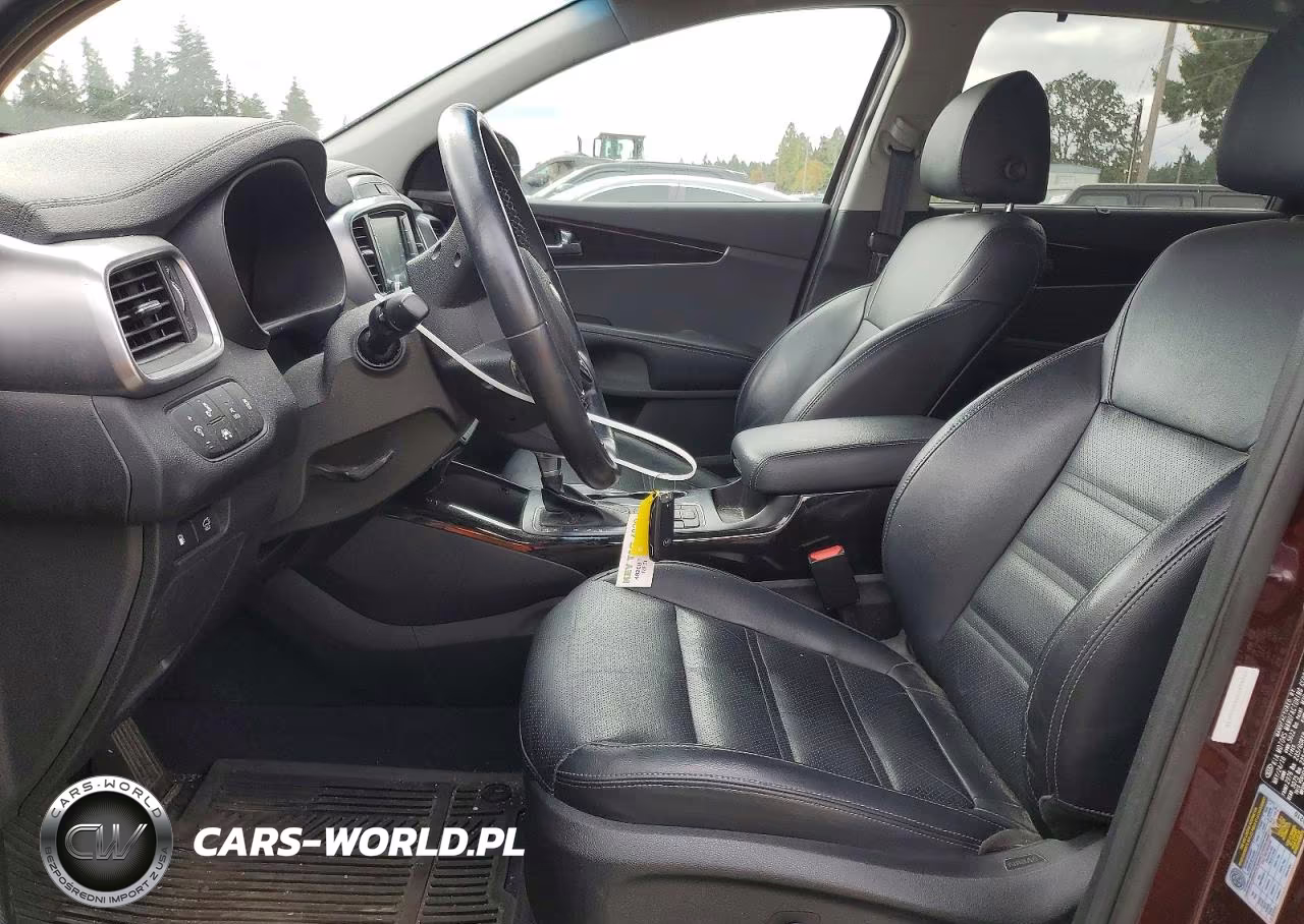 2019 Kia Sorento Ex V6 VIN:5XYPHDA5XKG478769 - 7