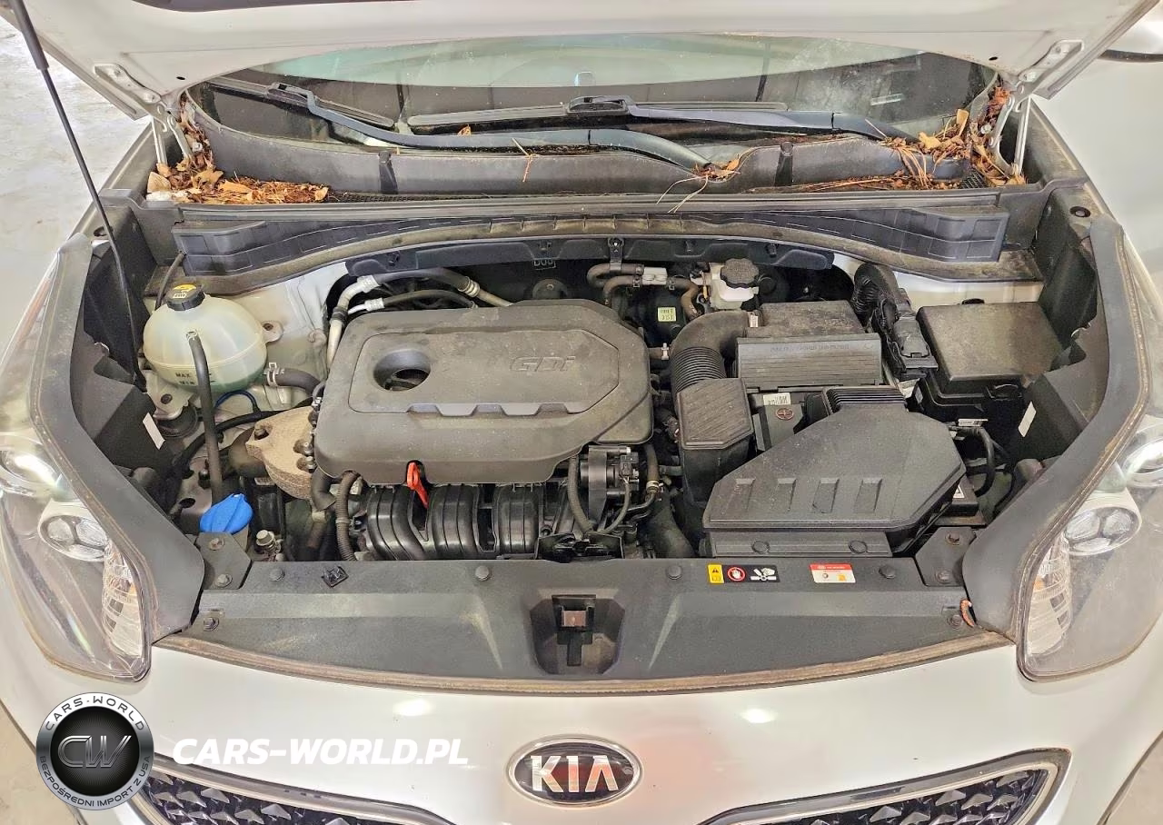 2019 Kia Sportage Lx VIN:KNDPMCACXK7605327 - 12