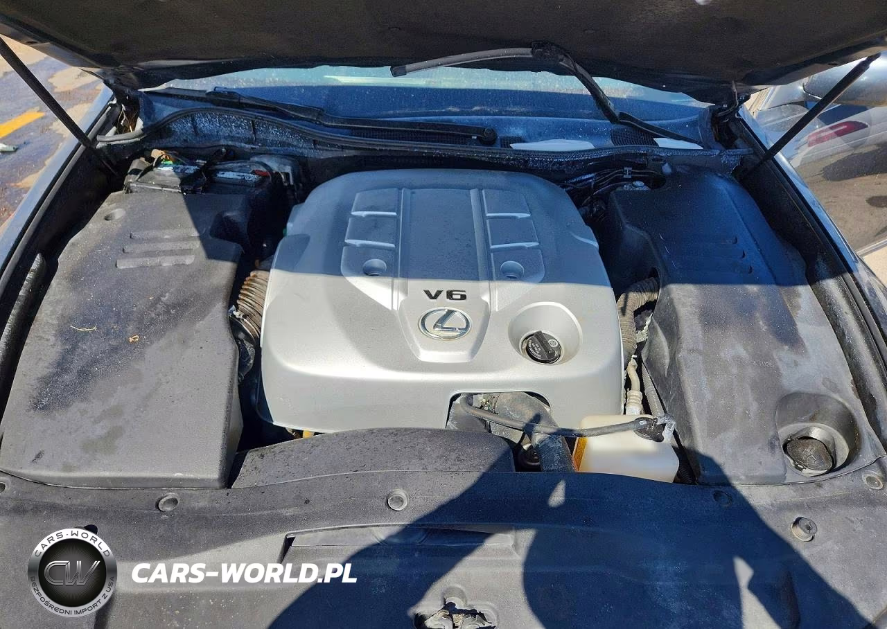 2006 Lexus Gs VIN:JTHBH96S965028033 - 11
