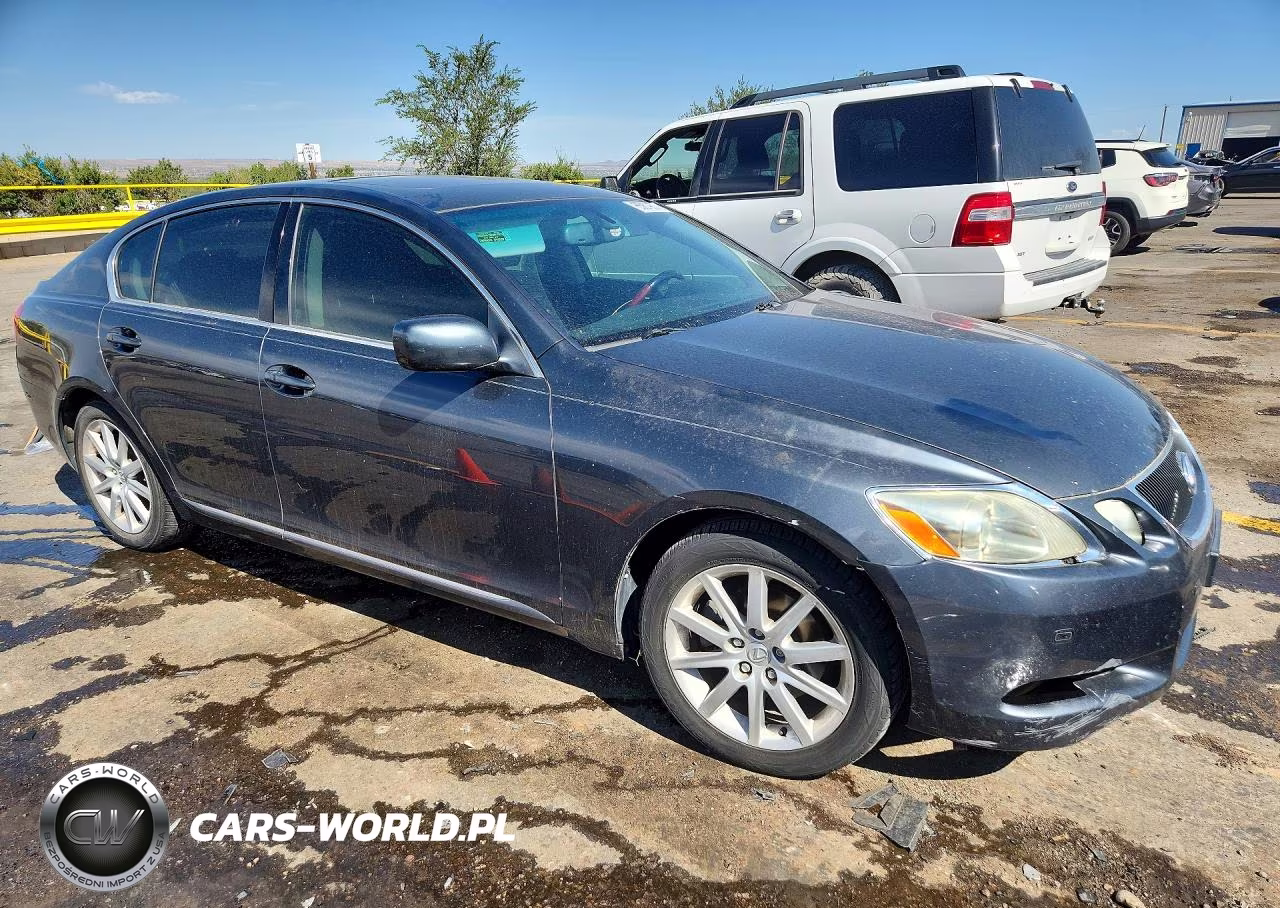 2006 Lexus Gs VIN:JTHBH96S965028033 - 4