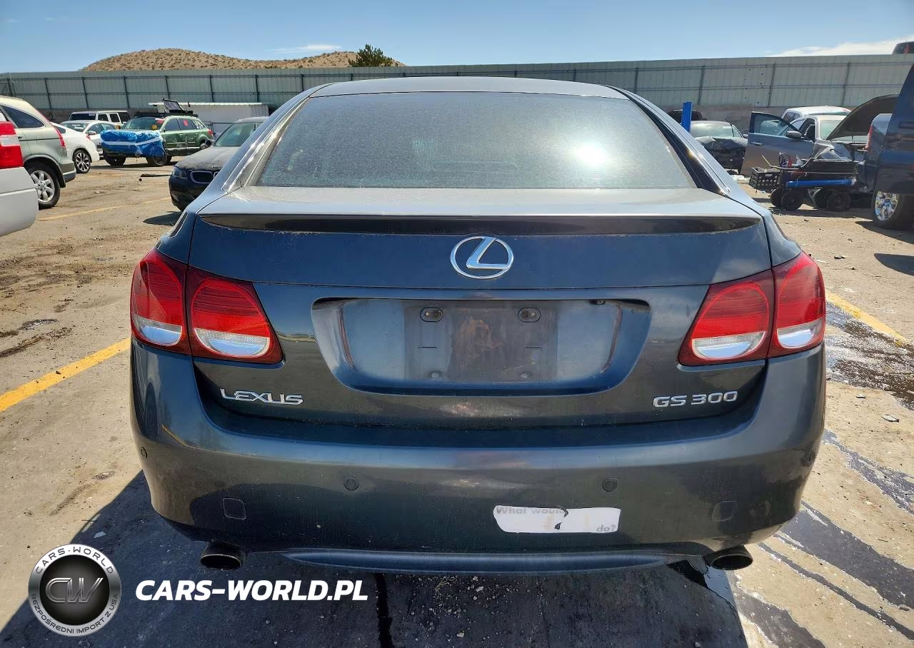 2006 Lexus Gs VIN:JTHBH96S965028033 - 6