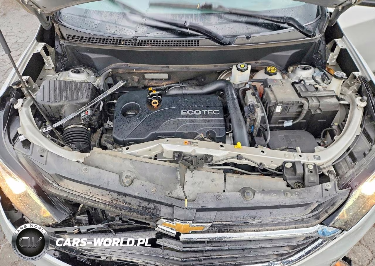 2019 Chevrolet Equinox Ls VIN:3GNAXHEV2KS661924 - 12