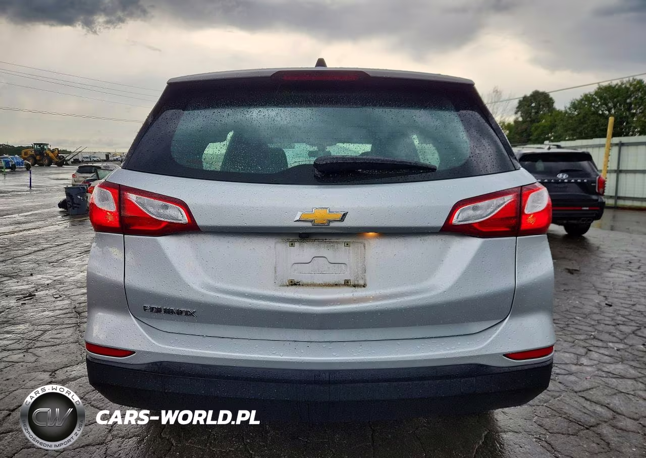2019 Chevrolet Equinox Ls VIN:3GNAXHEV2KS661924 - 6