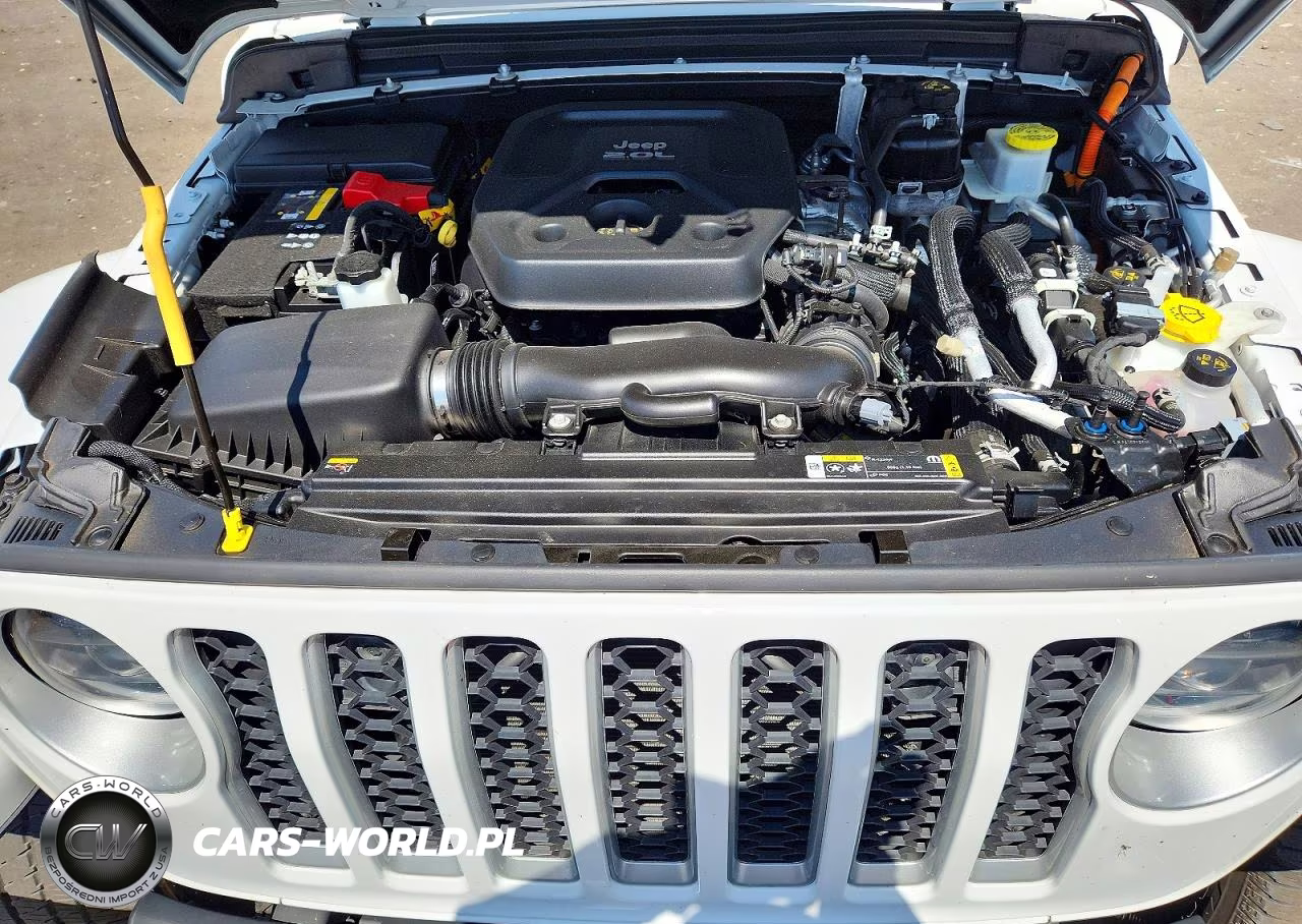 2023 Jeep Wrangler Sahara 4Xe VIN:1C4JJXP62PW505131 - 12