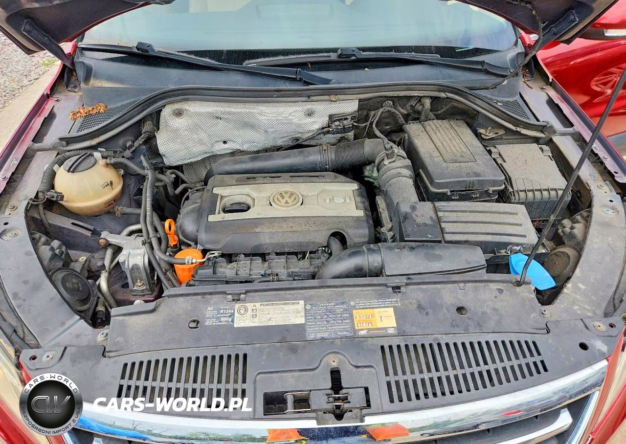 2009 Volkswagen Tiguan Se VIN:WVGBV75N49W537290 - 12