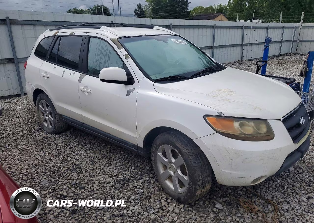 2009 Hyundai Santa Fe Se VIN:5NMSH73E19H276394 - 4