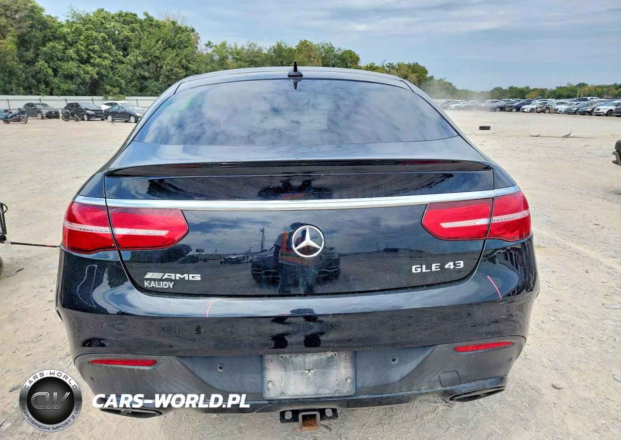 2018 Mercedes-Benz Gle Coupe 43 Amg VIN:4JGED6EB5JA112422 - 6