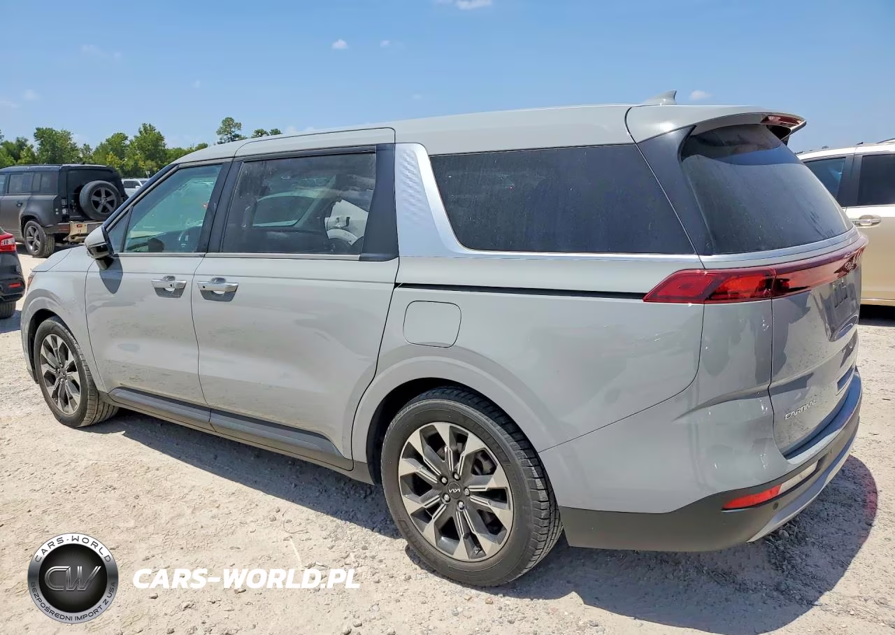 2024 Kia Carnival Ex VIN:KNDNC5H38R6395225 - 2
