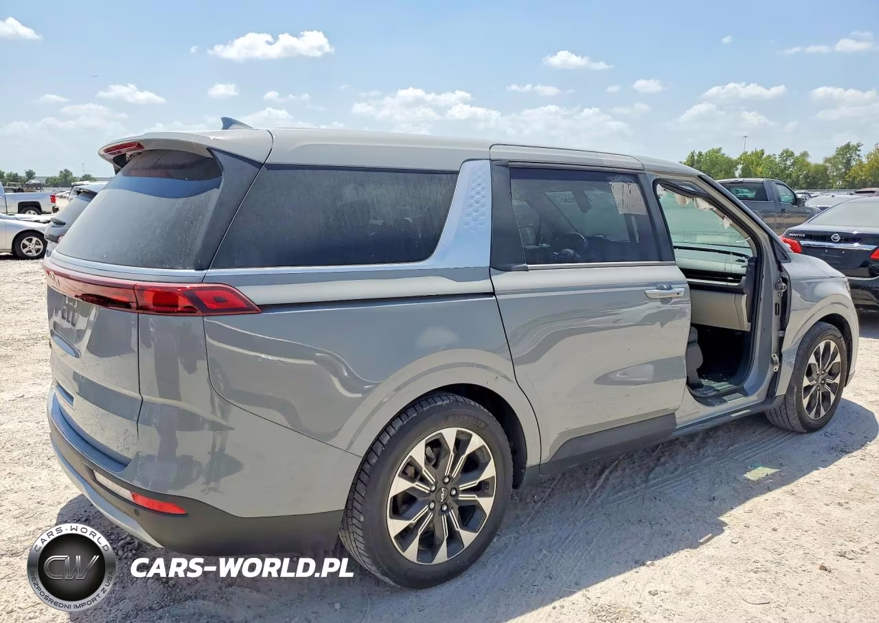 2024 Kia Carnival Ex VIN:KNDNC5H38R6395225 - 3