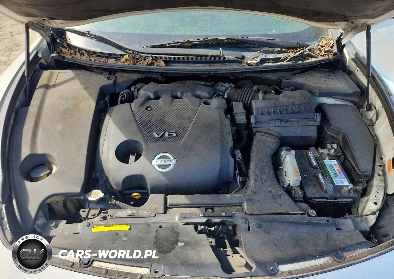 2009 Nissan Maxima 3.5 S VIN:1N4AA51E39C833902 - 11