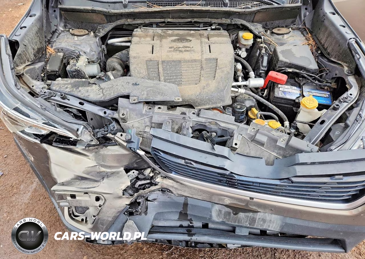 2019 Subaru Forester Premium VIN:JF2SKAGCXKH406740 - 12