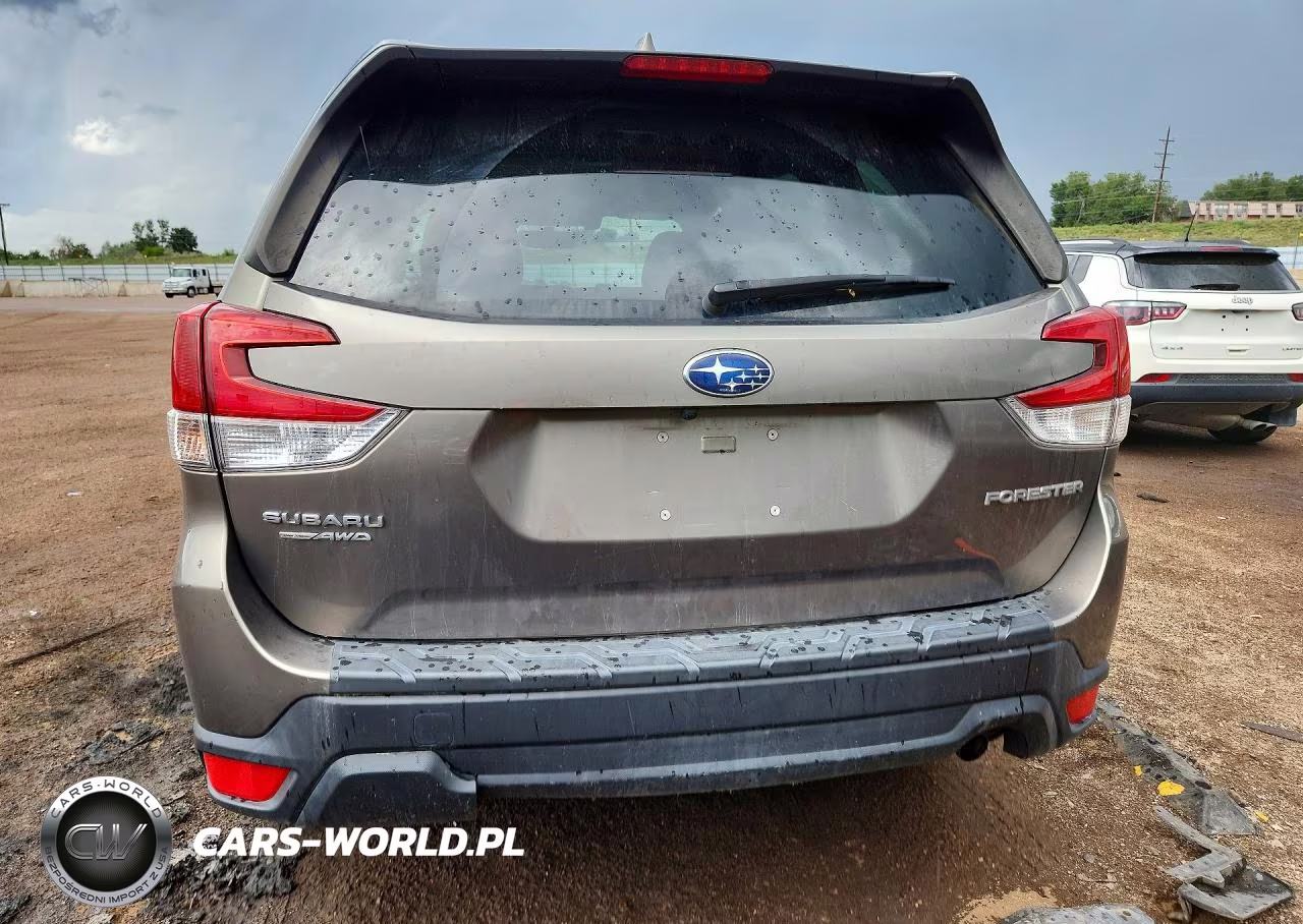 2019 Subaru Forester Premium VIN:JF2SKAGCXKH406740 - 6