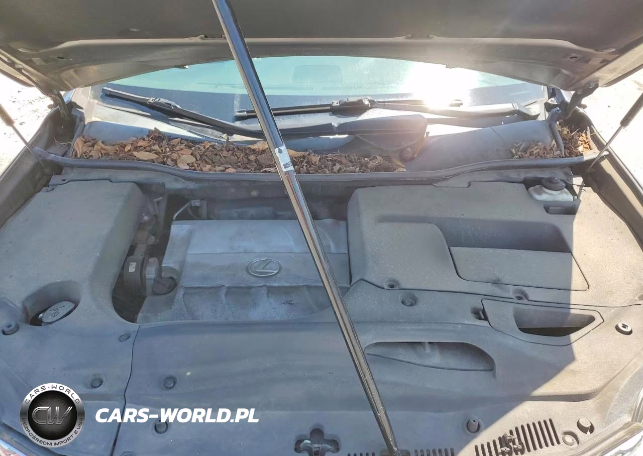 2013 Lexus Rx 350 Base VIN:2T2BK1BA7DC204929 - 12