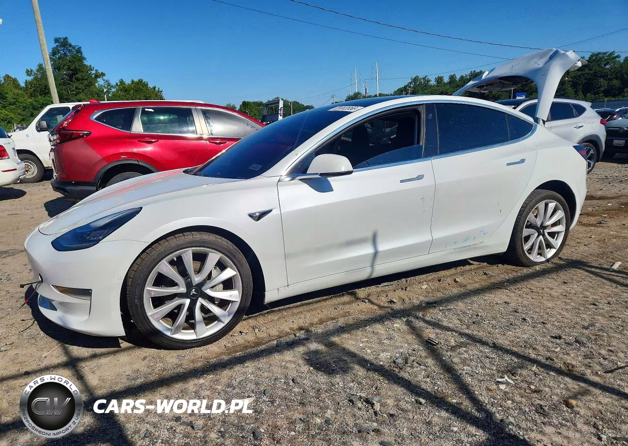 2019 Tesla Model 3